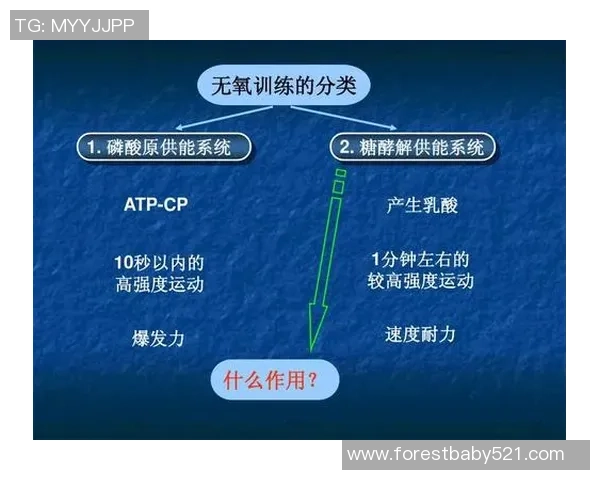 广州羽毛球队耐力对比深度解析及其对比赛表现的影响分析